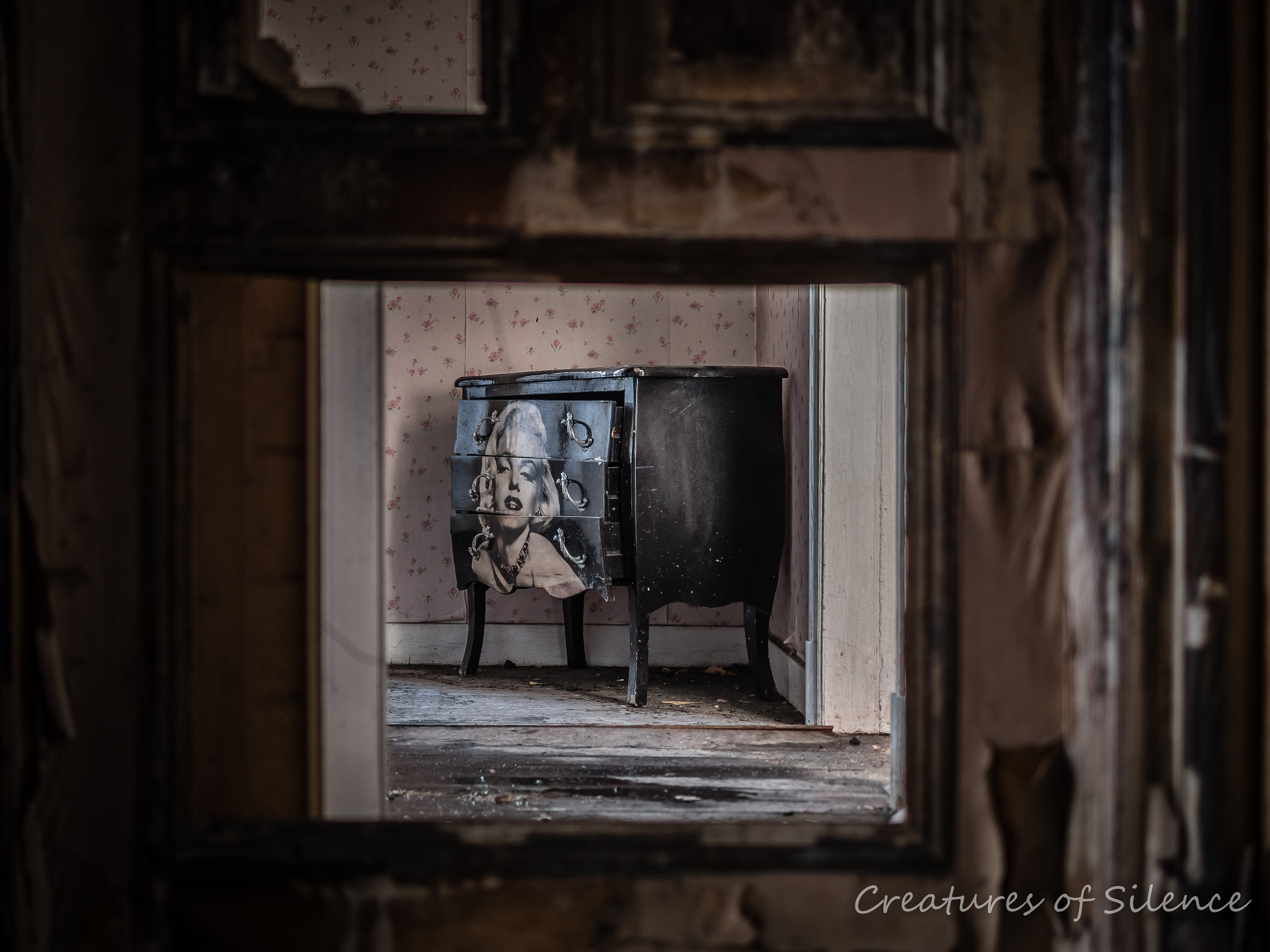 Panasonic Lumix DMC-GH4 + Panasonic Leica DG Summilux 25mm F1.4 II ASPH sample photo. Planet decay photography