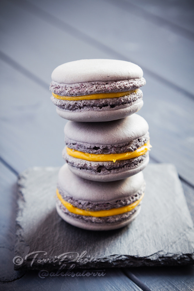 Gray macaroons on dark grey background