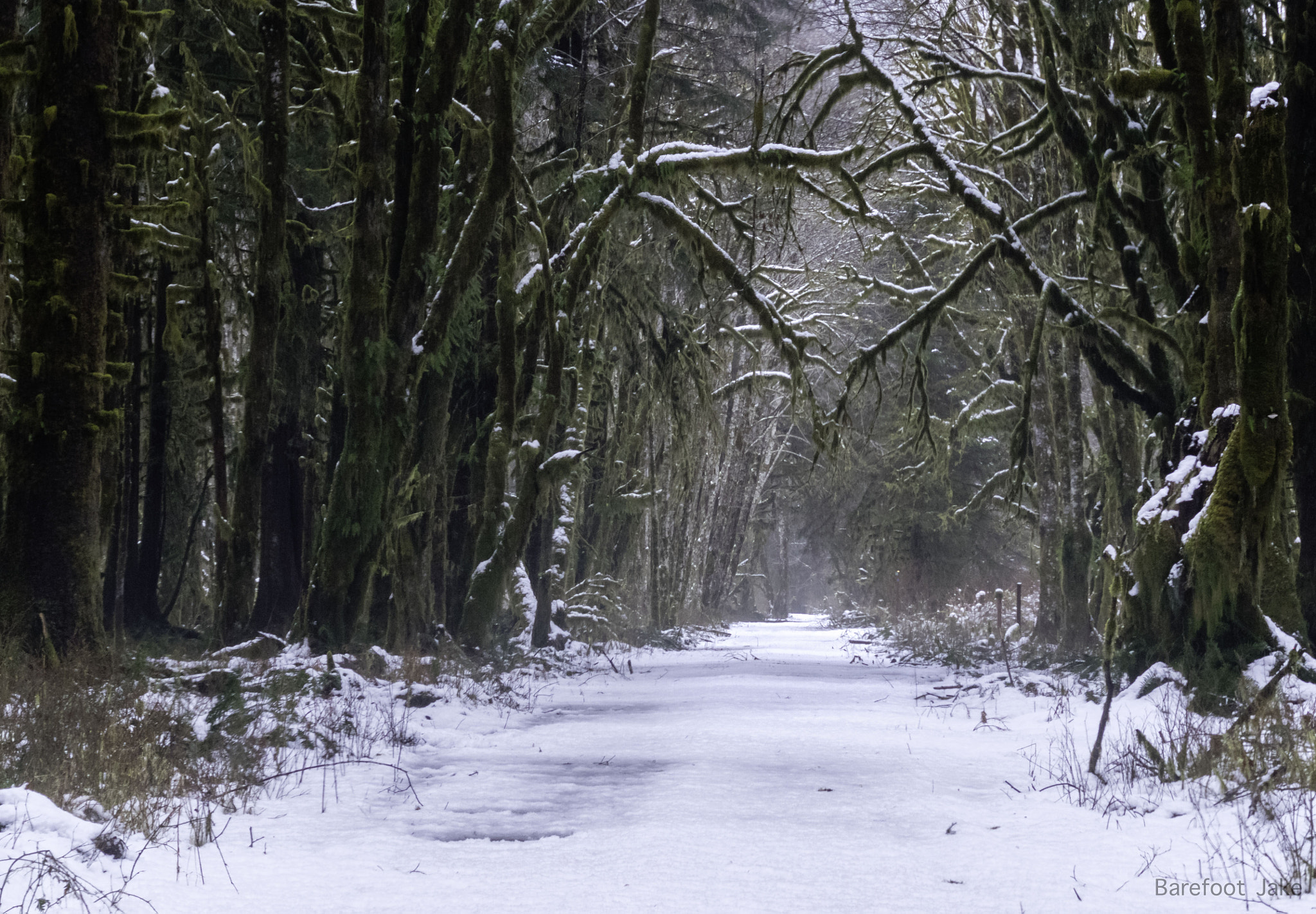 Fujifilm XF 55-200mm F3.5-4.8 R LM OIS sample photo. Lonely road to nowhere photography