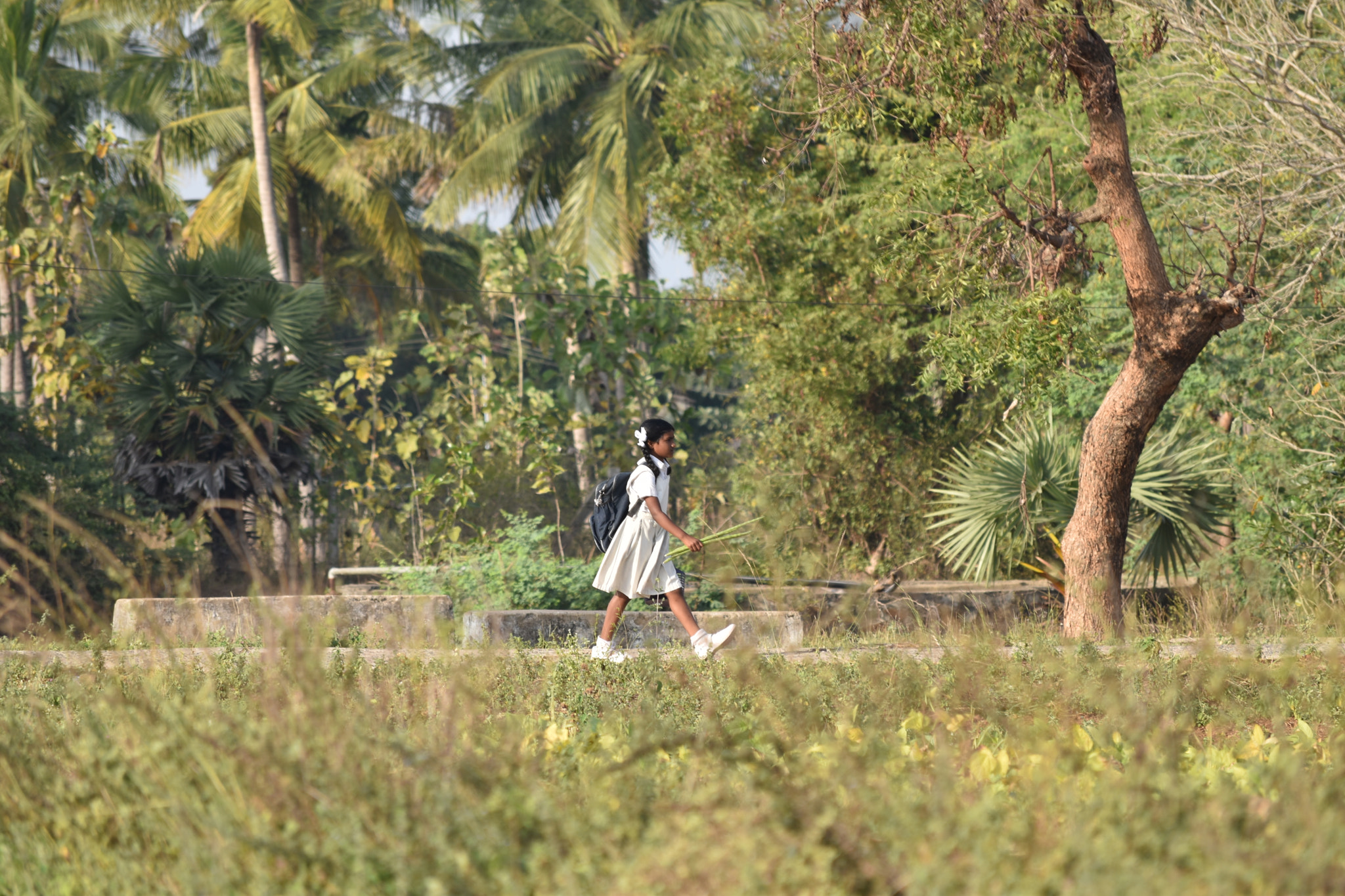 Nikon D5500 sample photo. Cute girl photography