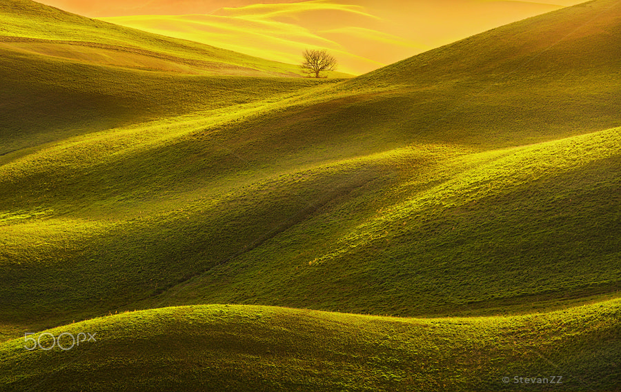 Sony a7R II + Canon EF 100-400mm F4.5-5.6L IS II USM sample photo. Tuscany panorama, rolling hills, fields, meadow and lonely tree. photography