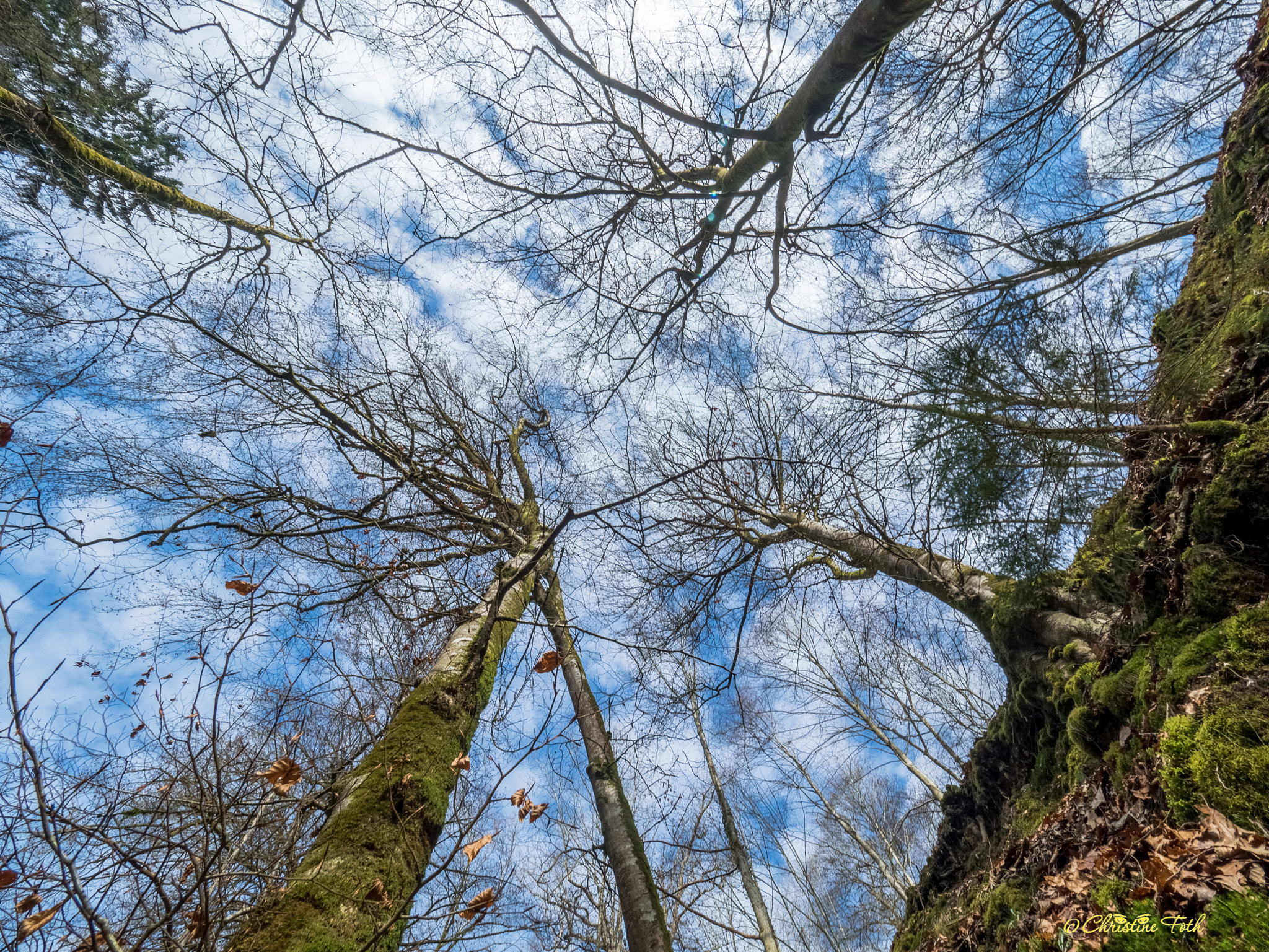 Olympus OM-D E-M5 II + Olympus M.Zuiko Digital ED 7-14mm F2.8 PRO sample photo. View of the sky photography