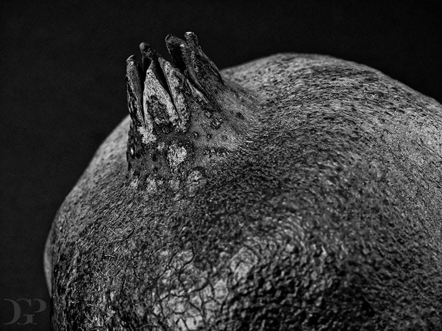 Olympus OM-D E-M1 sample photo