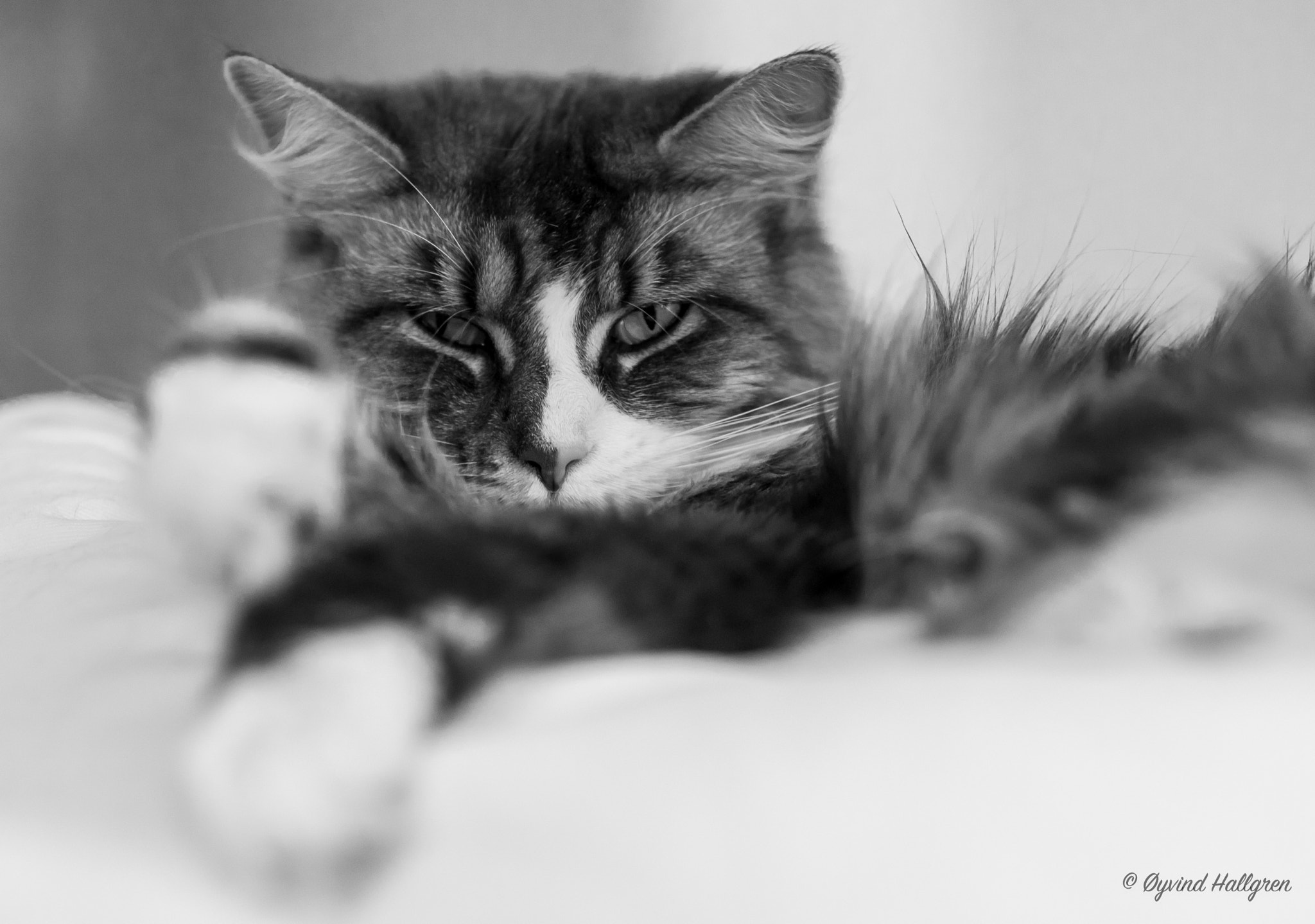Canon EF 85mm F1.2L II USM sample photo. Emma in b&w photography