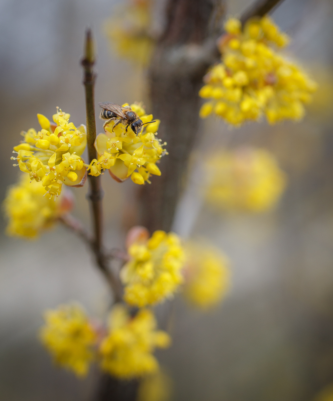 Canon EF 35-80mm f/4-5.6 sample photo. *** photography