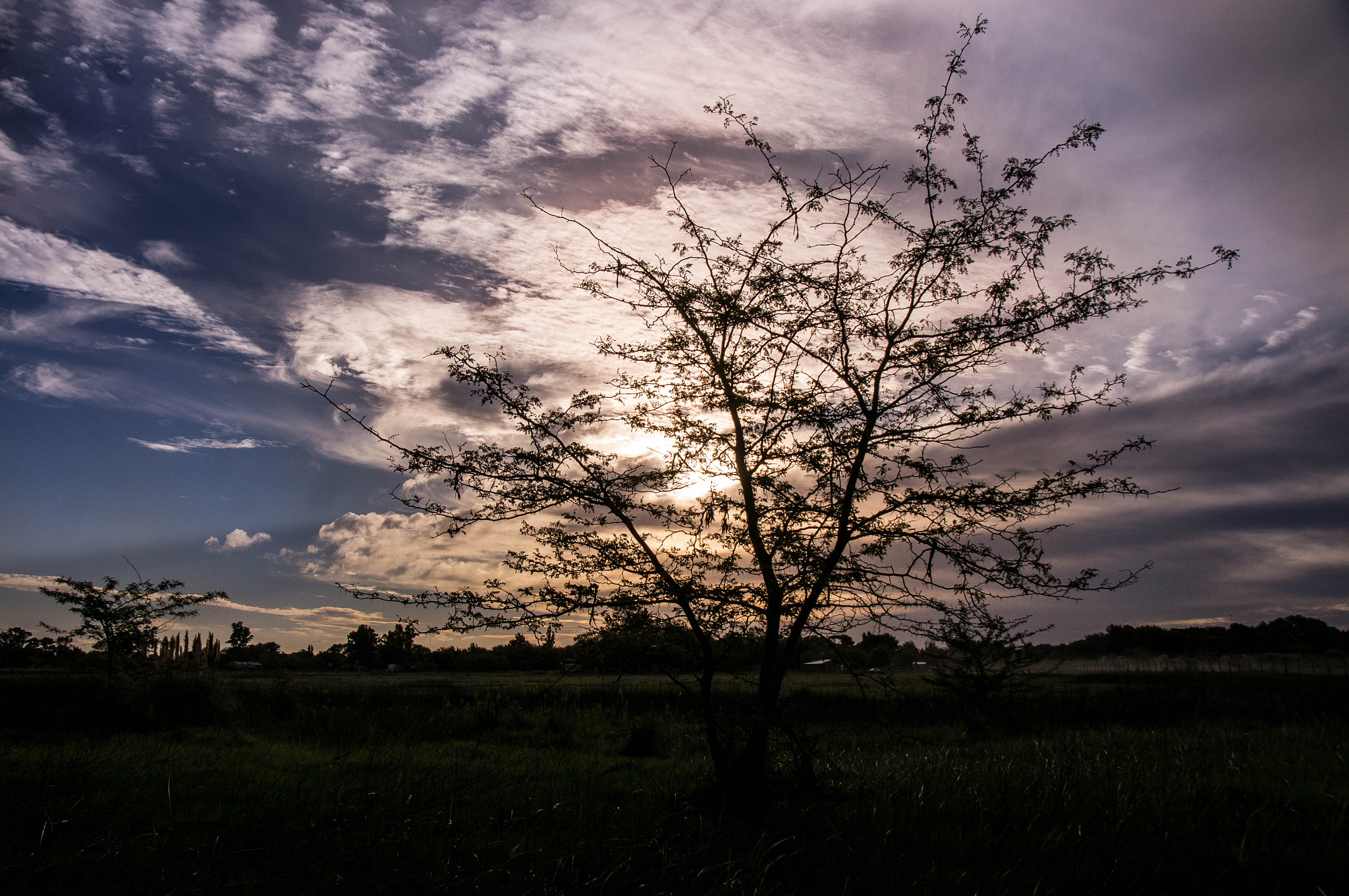 Sony Alpha DSLR-A580 sample photo. Outback photography