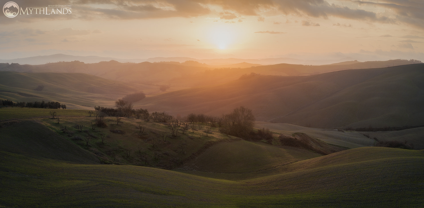 Nikon D810 + Sigma 24-105mm F4 DG OS HSM Art sample photo. Kissed by the light photography