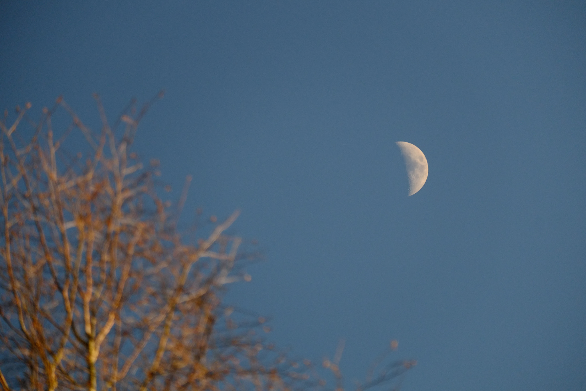 Fujifilm X-E1 + Fujifilm XC 50-230mm F4.5-6.7 OIS sample photo. Moon photography