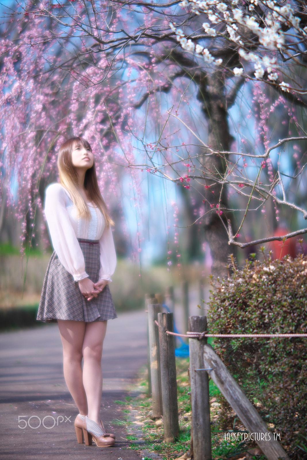 Nikon D810 sample photo. Spring delight photography