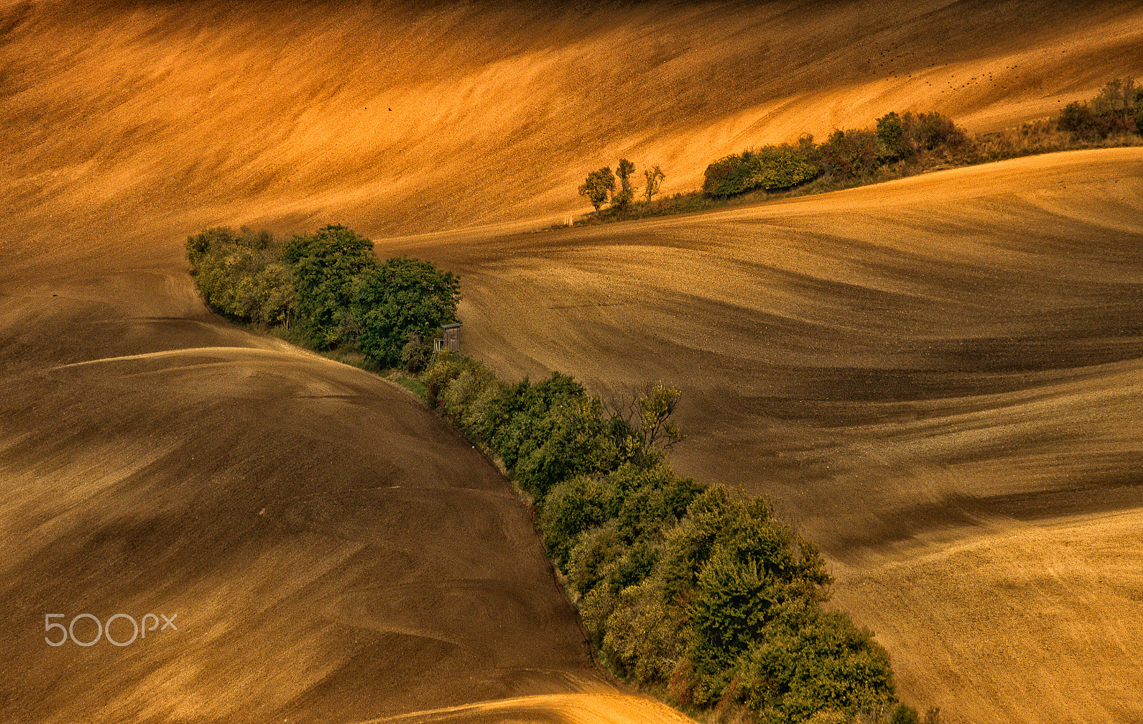 Pentax K-5 II sample photo. Marks on the field photography