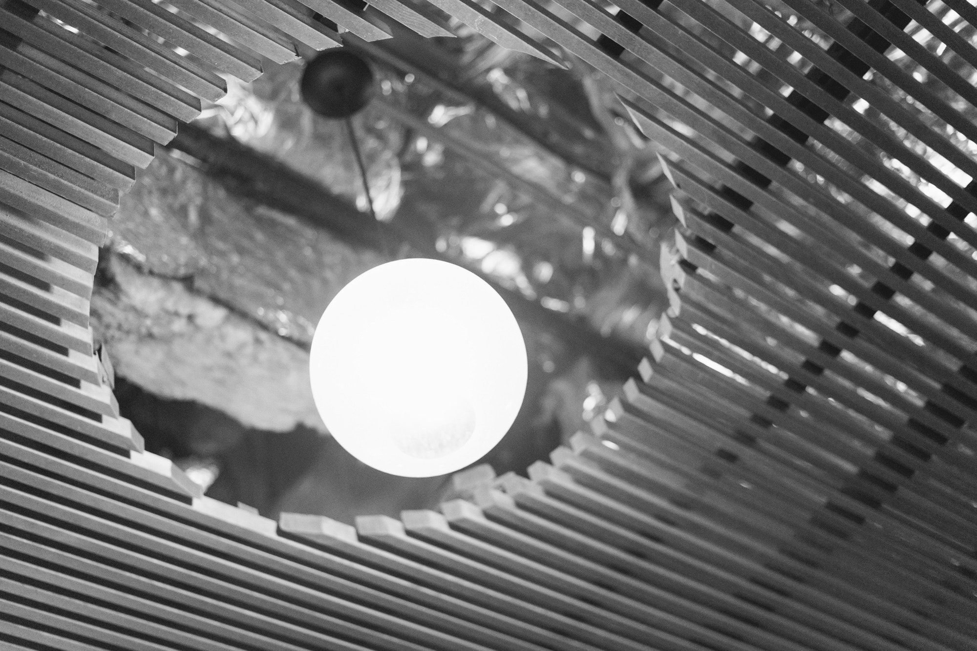 E 50mm F2 sample photo. Light photography