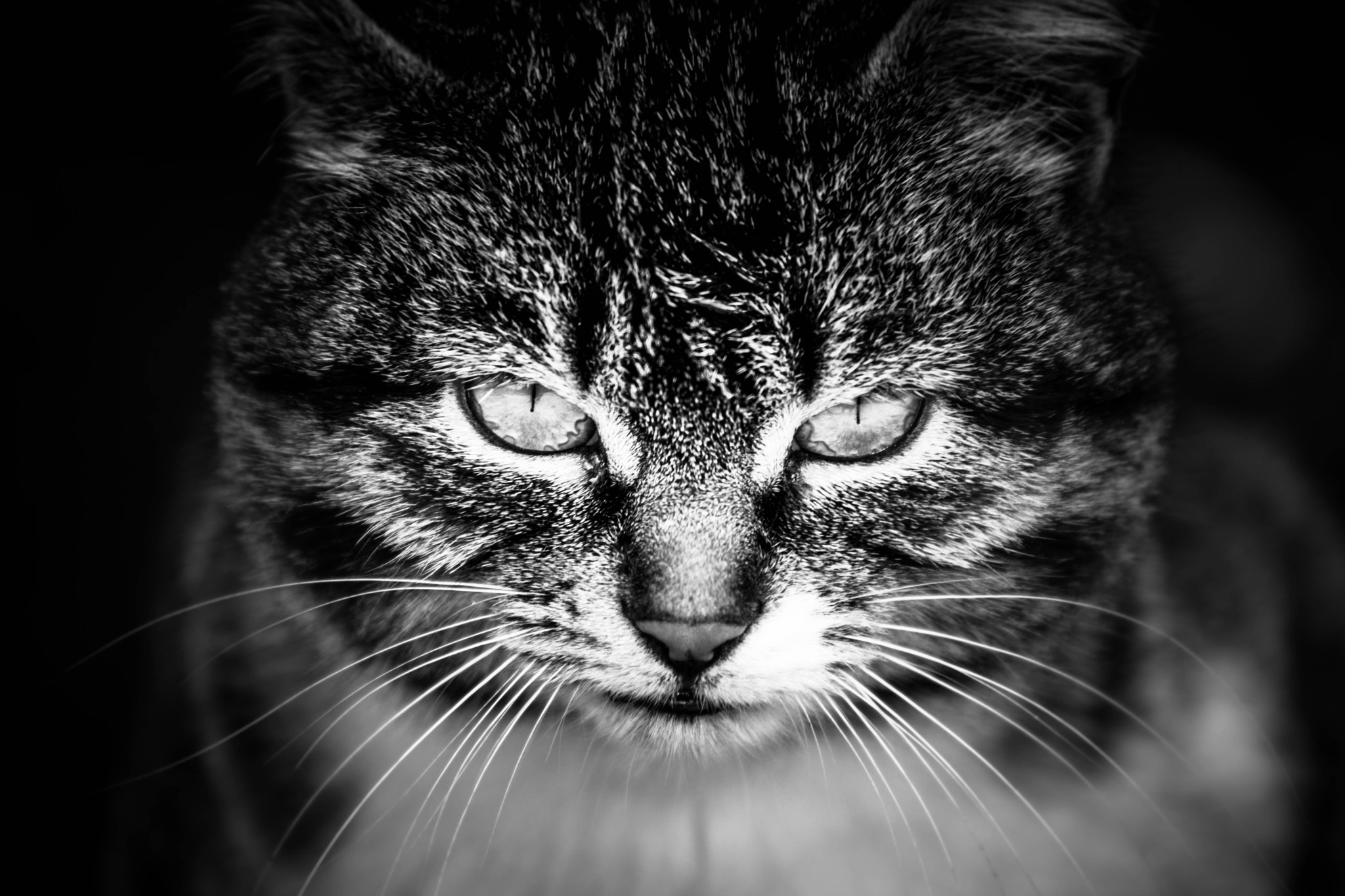 EF75-300mm f/4-5.6 sample photo. Blackwhite photography