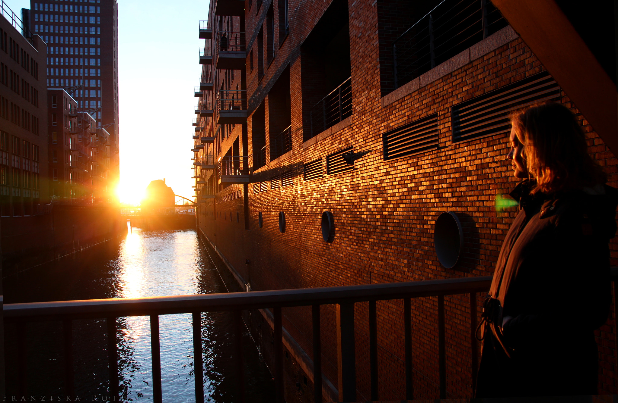 Sigma 18-250mm F3.5-6.3 DC OS HSM sample photo. Follow the sun photography