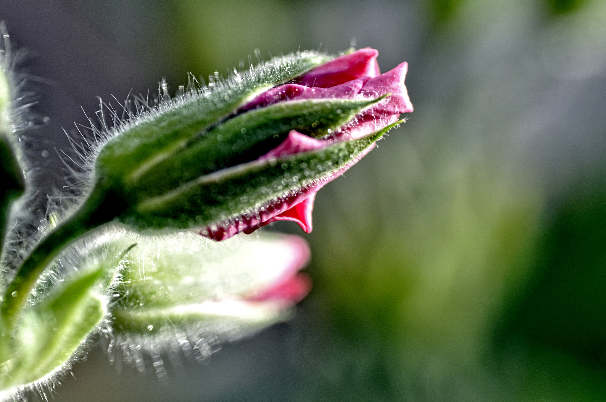 Nikon D5000 sample photo. Light photography