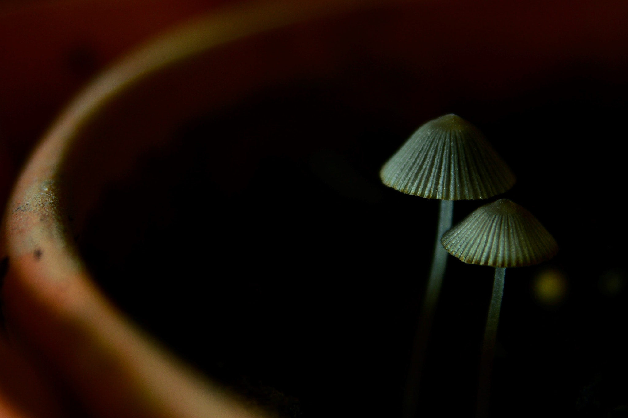 Sigma 24-70mm F2.8 EX DG HSM sample photo. () photography