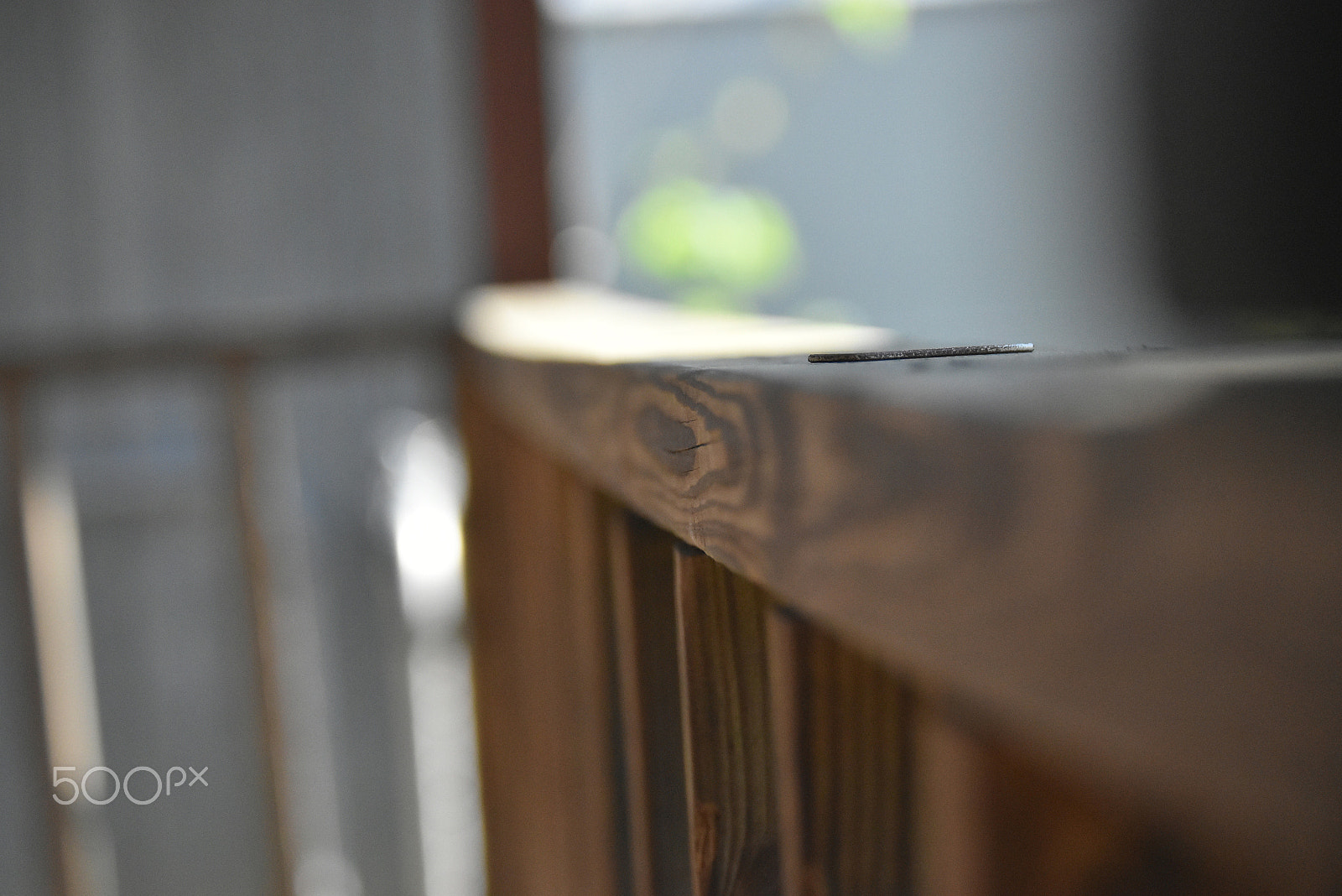 Nikon D5500 sample photo. Dof photography