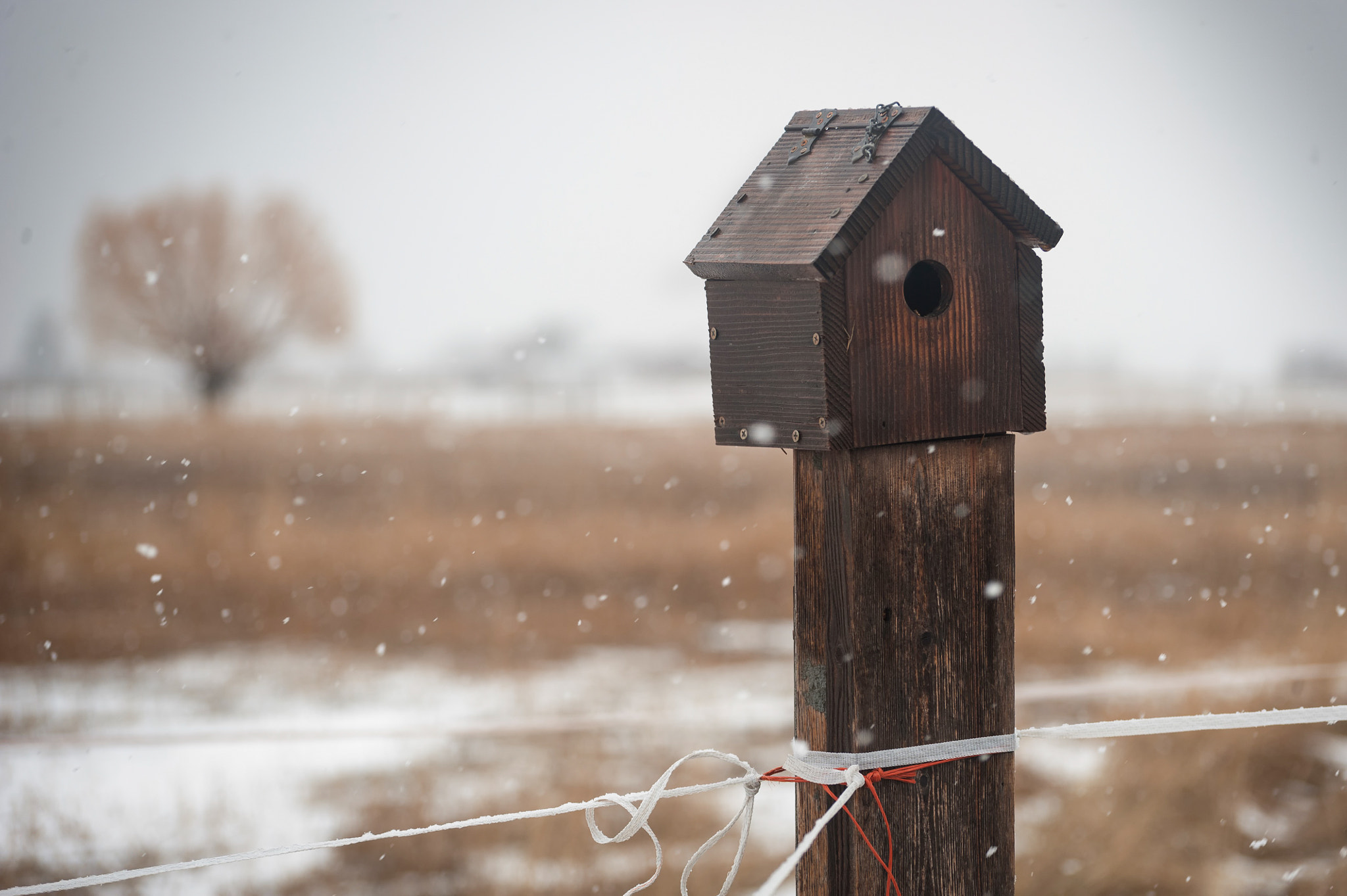 Nikon D3 sample photo. Montana birdhouse photography