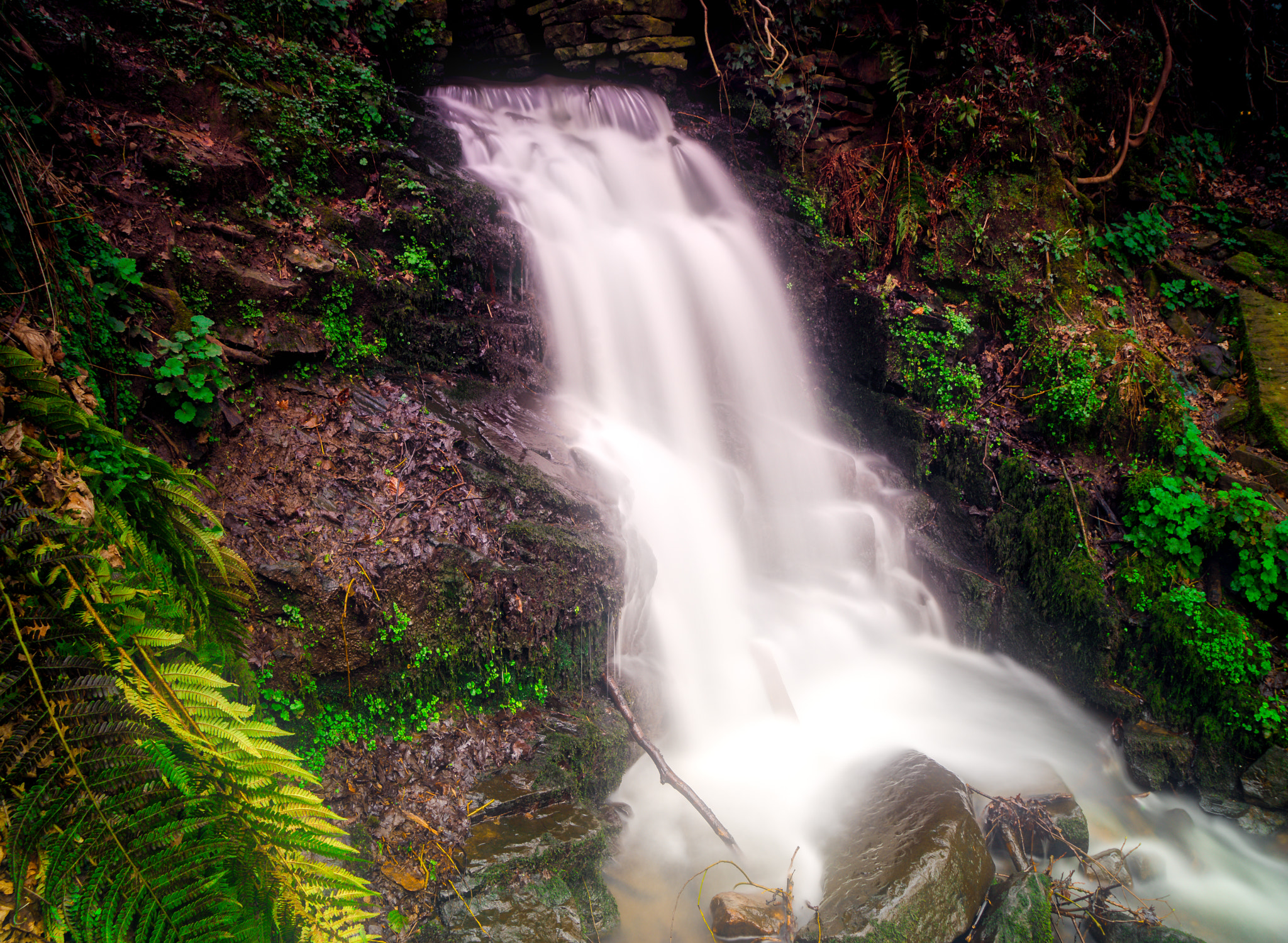 Sony a7R + Sony Vario Tessar T* FE 24-70mm F4 ZA OSS sample photo. Fairy glen falls. photography