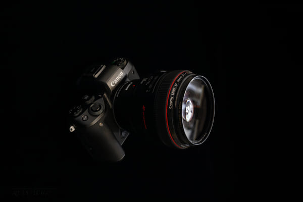 Canon EOS-1D X + Canon EF 40mm F2.8 STM sample photos - ExploreCams