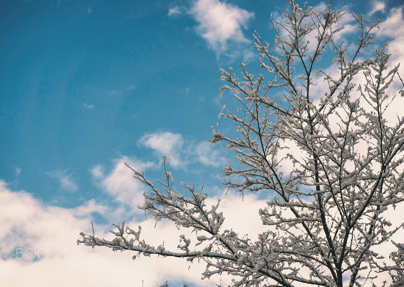 Sony Alpha NEX-6 sample photo. Il sereno dopo la neve photography