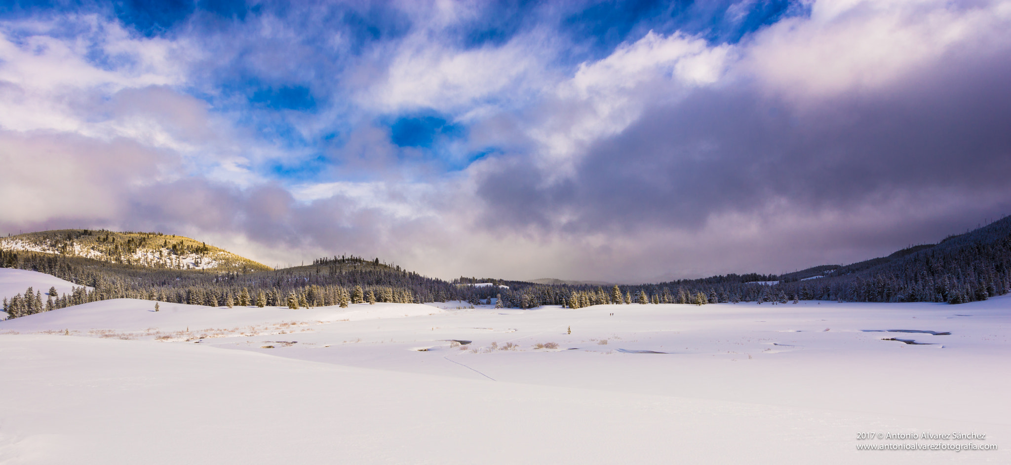 Nikon AF-S Nikkor 14-24mm F2.8G ED sample photo. In the winter solitude photography