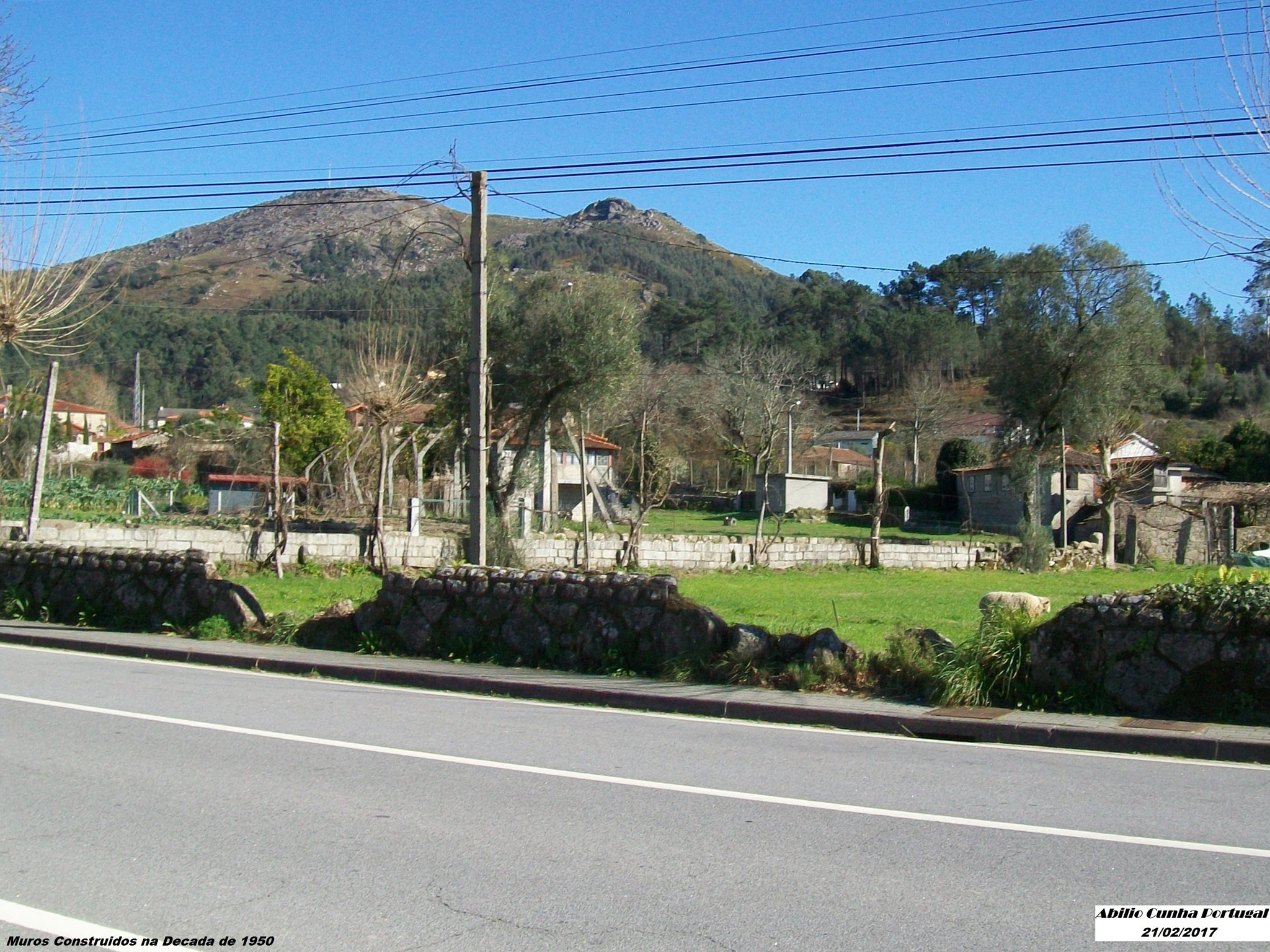 Kodak EasyShare C913 sample photo. A vedação dos campos para estrada nacional photography