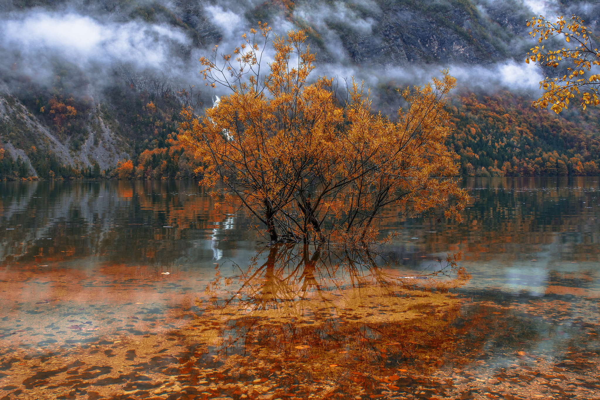 Olympus OM-D E-M5 sample photo. Underwater autumn photography