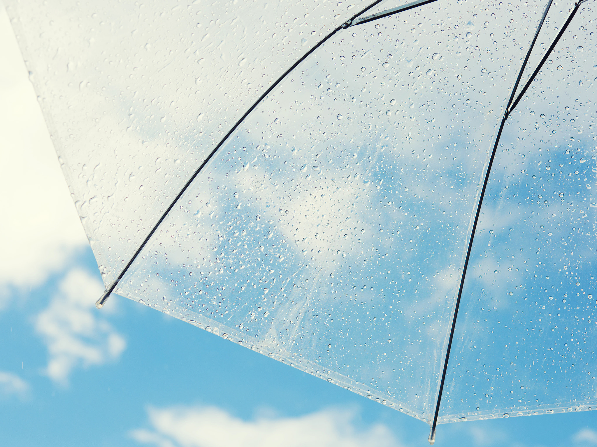 Nikon AF-S Micro-Nikkor 60mm F2.8G ED sample photo. Rain photography