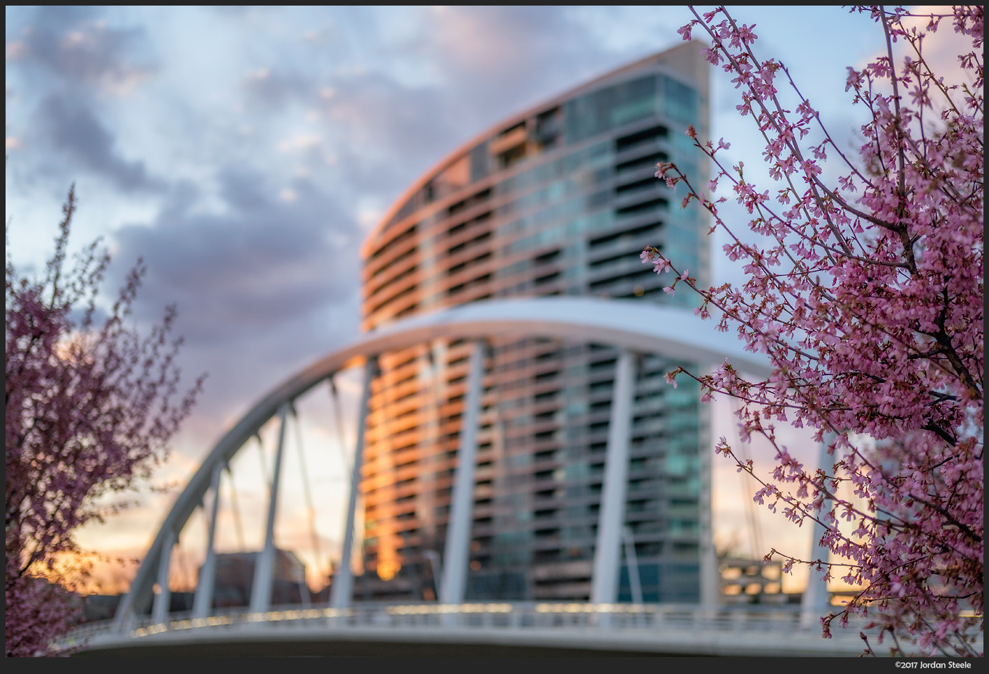 Fujifilm X-T20 + Fujifilm XF 35mm F2 R WR sample photo. Blossoms in the city photography