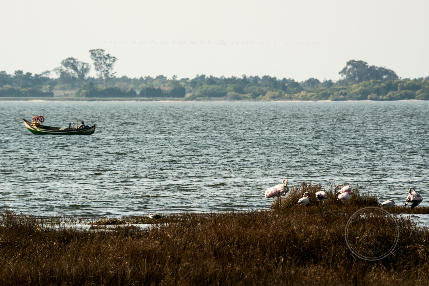 Nikon D800 sample photo. Take it easy photography