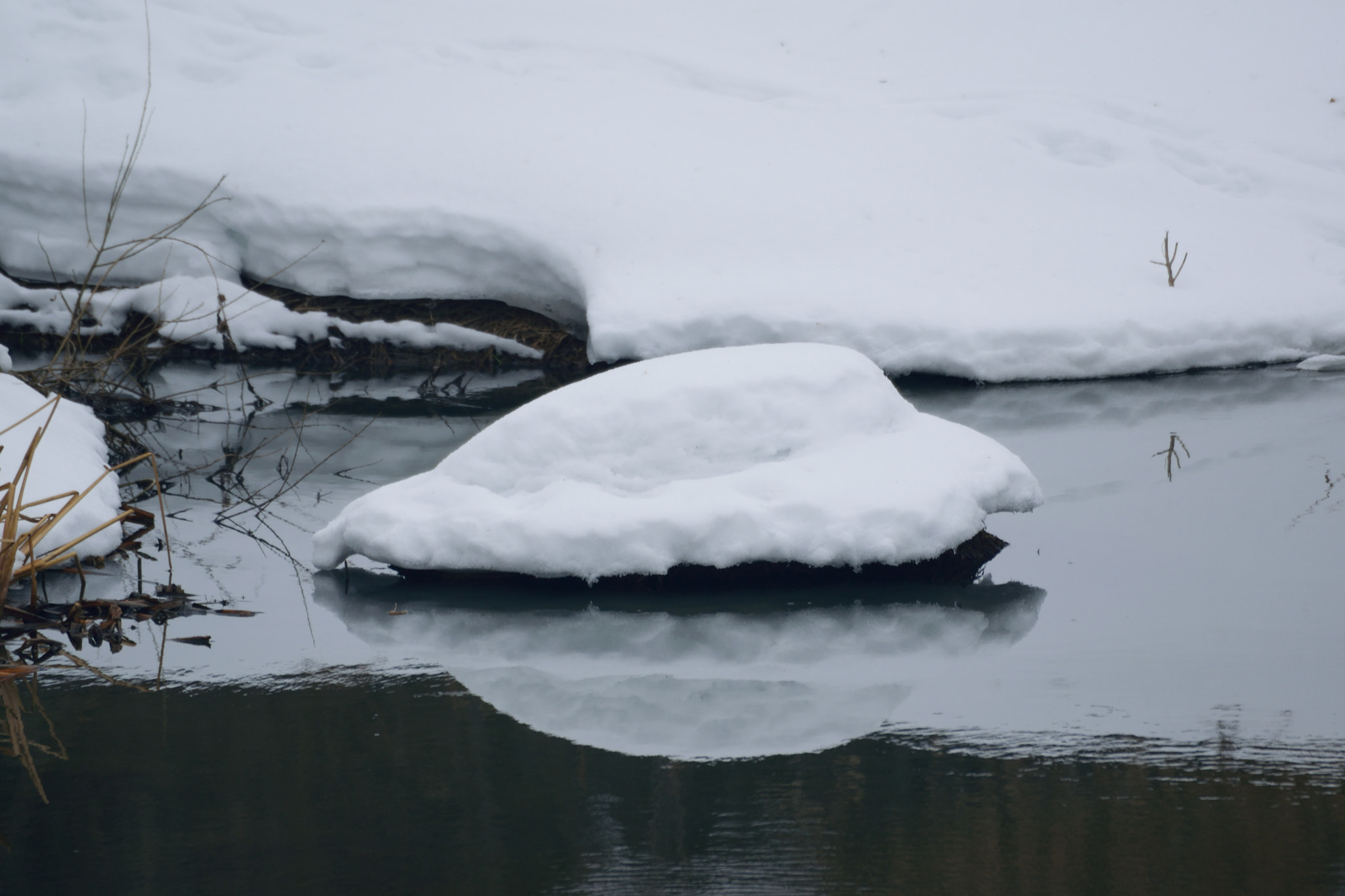 Nikon D5300 + Sigma 70-300mm F4-5.6 DG OS sample photo. Зима Река Дубна Россия photography