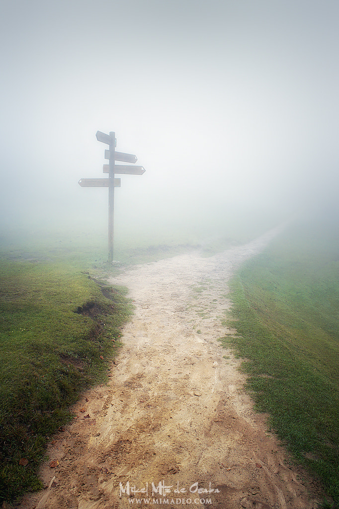 Sony Alpha NEX-3 + Sony E 16mm F2.8 sample photo. Path to somewhere photography