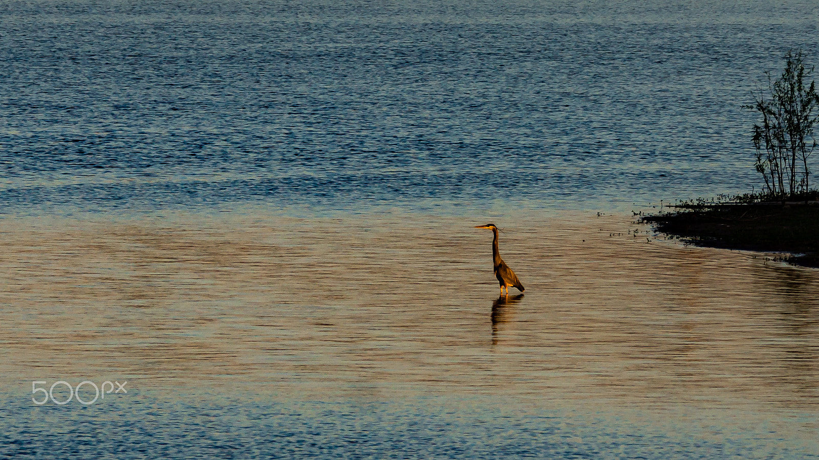 Sony 70-300mm F4.5-5.6 G SSM sample photo. Evening photography