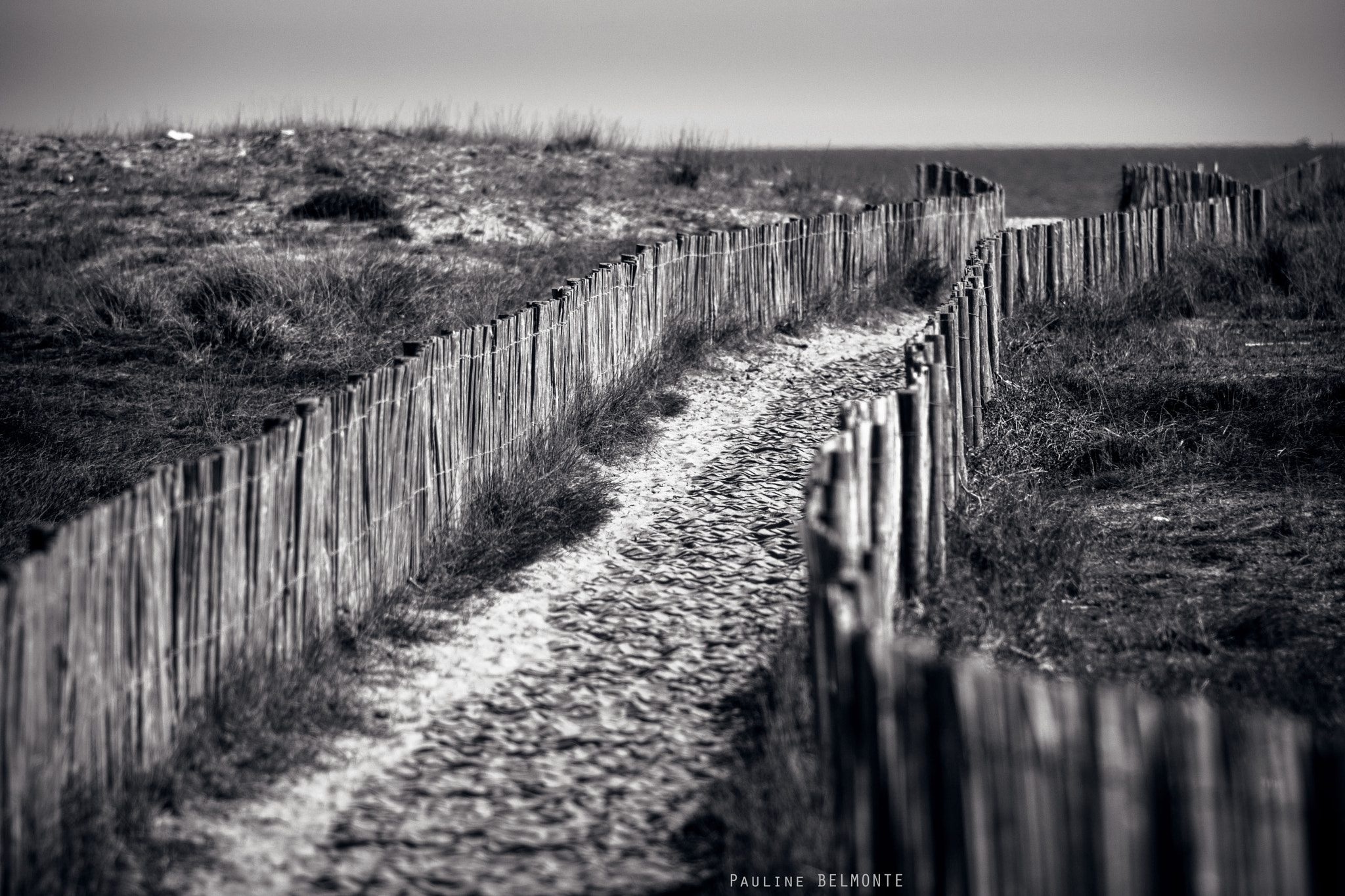 Nikon AF Nikkor 180mm F2.8D ED-IF sample photo. Plage - france - février 2017 photography