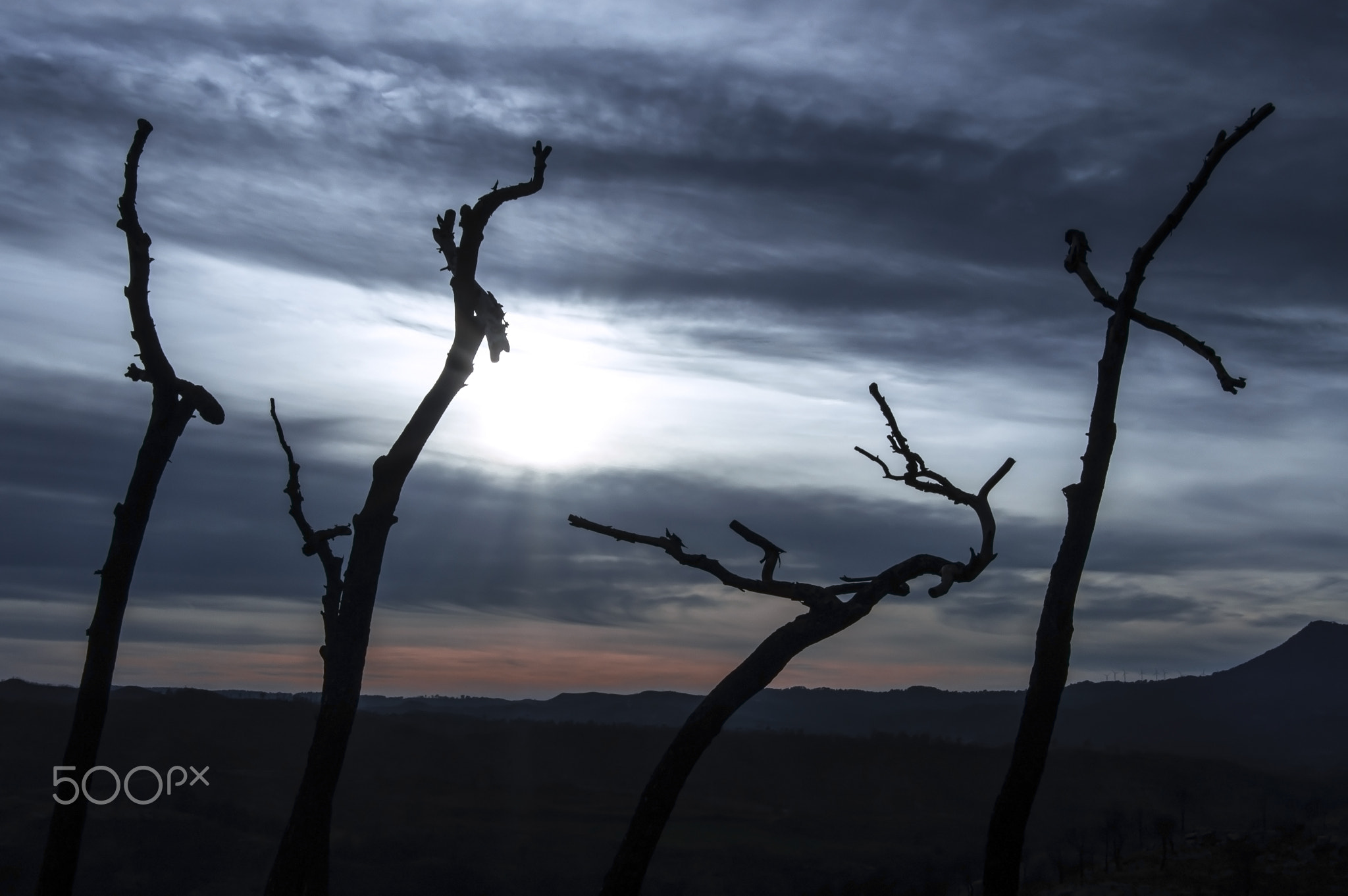 Bosque de las Cruces by Marco García on 500px.com