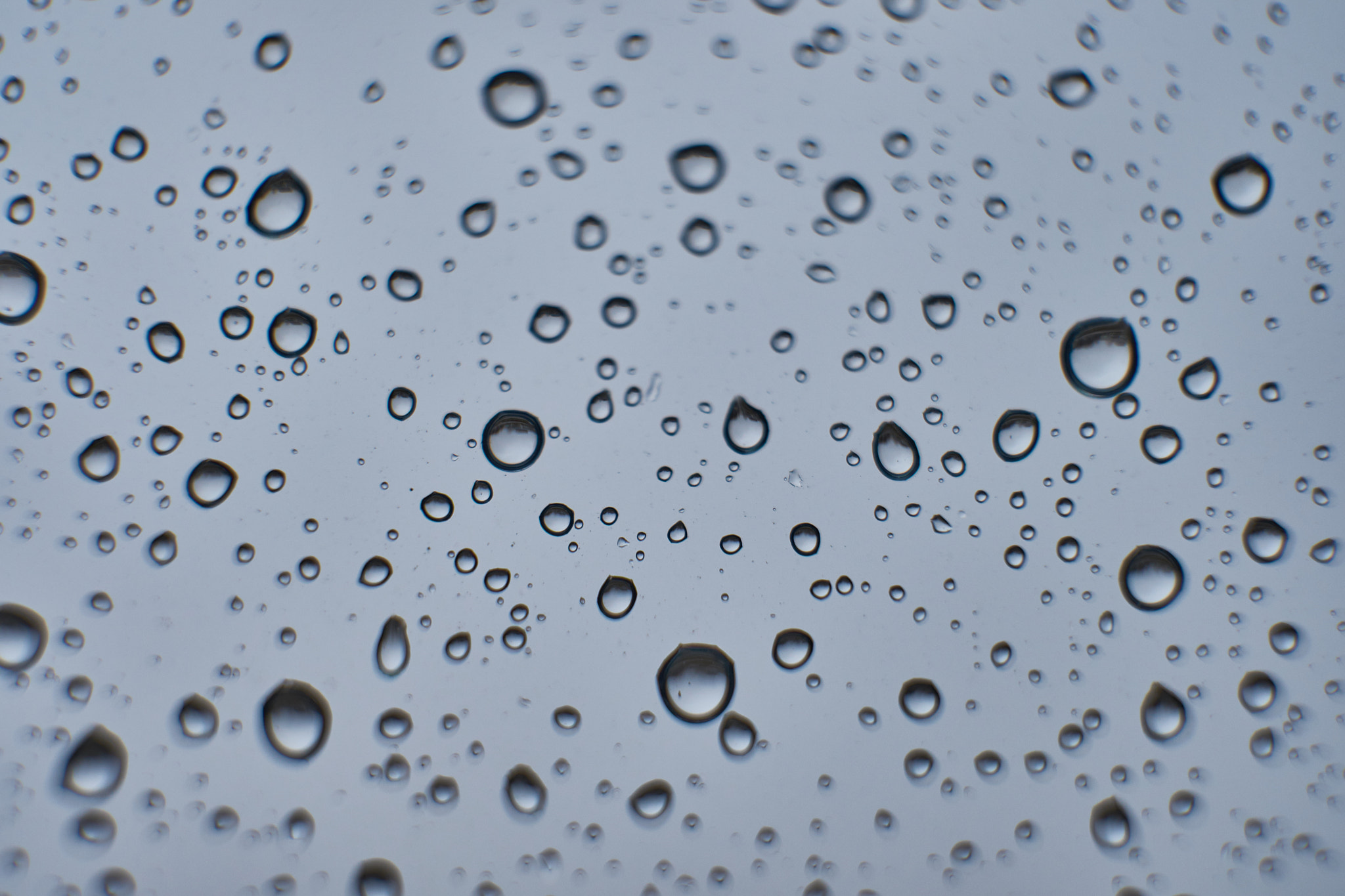 Fujifilm XF 16-55mm F2.8 R LM WR sample photo. Raindrops photography