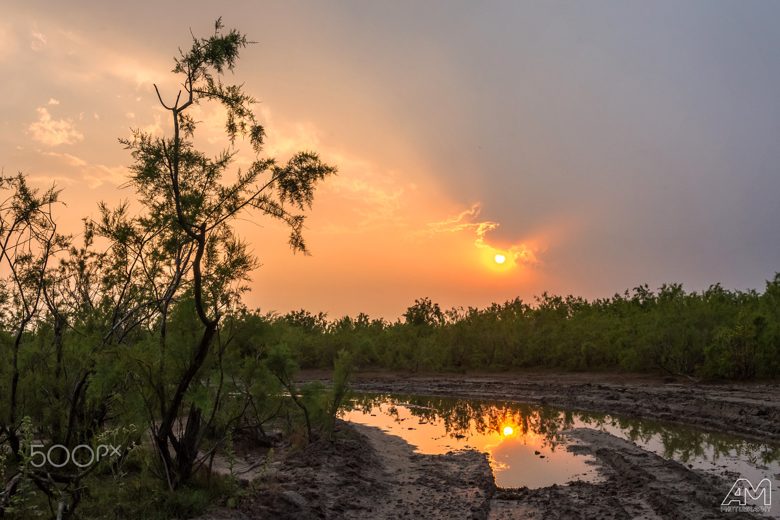 Nikon D7200 sample photo. Sunset reflection photography