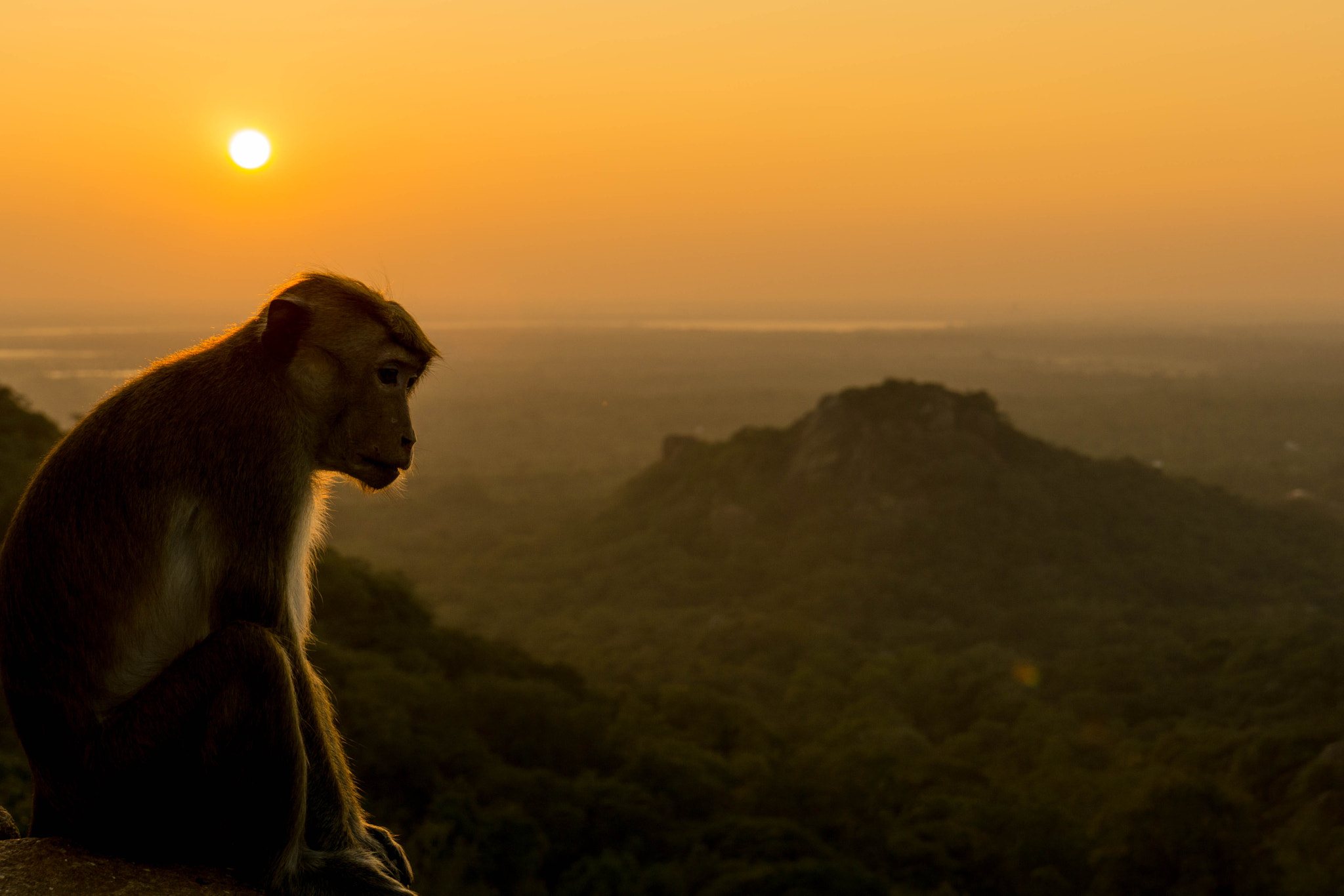 Sony E 18-200mm F3.5-6.3 OSS sample photo. Sunset over sri lanka photography