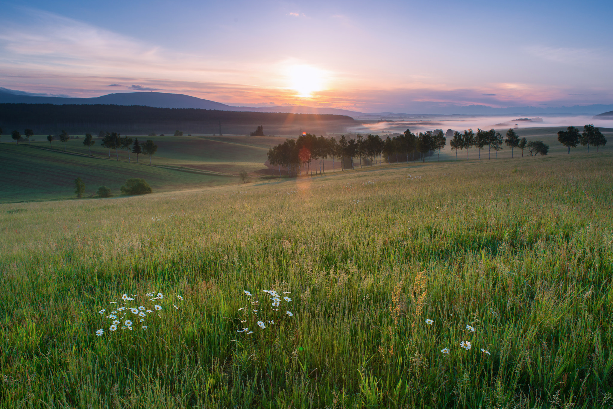 Nikon AF Nikkor 24mm F2.8D sample photo. Last spring photography