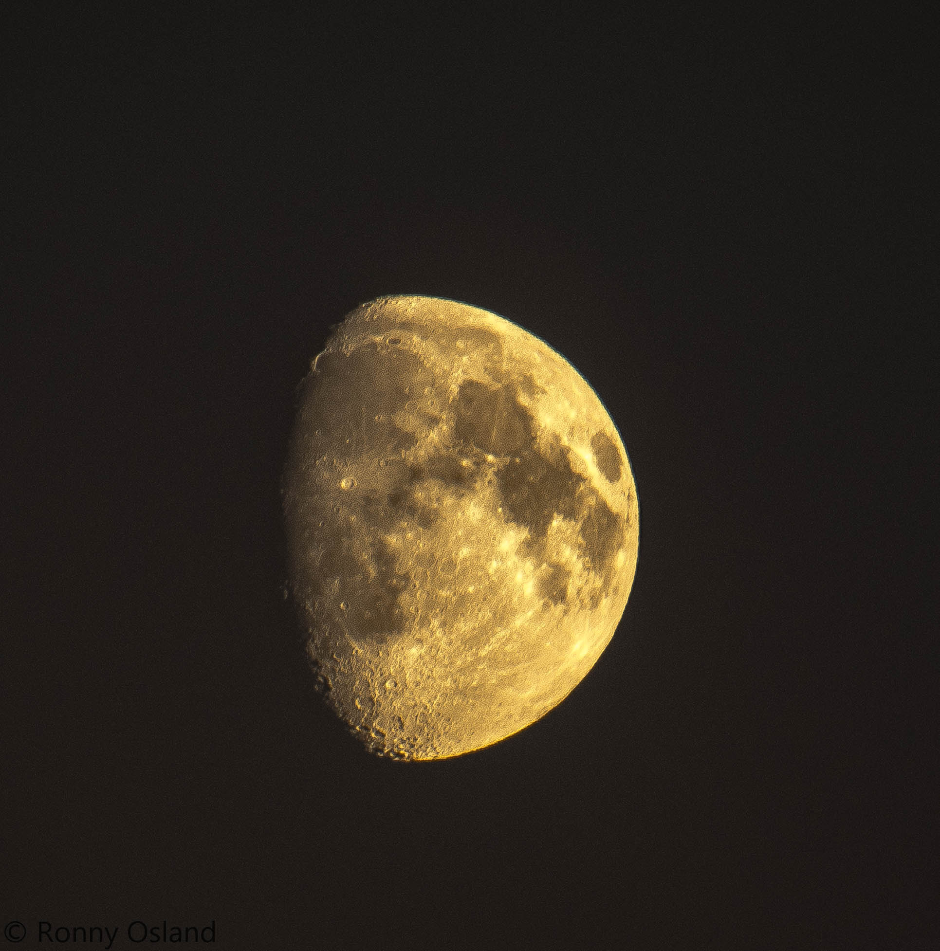 Nikon D7200 sample photo. Dsc photography