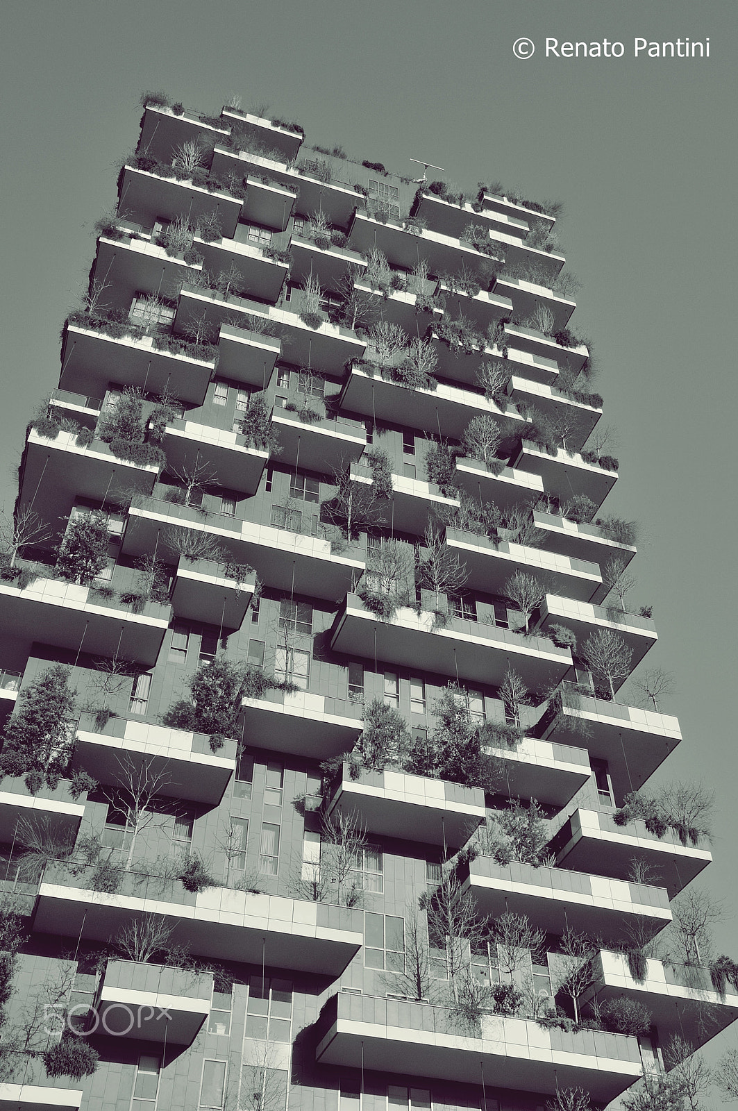 Nikon D300S sample photo. Tower bosco verticale, milan. photography