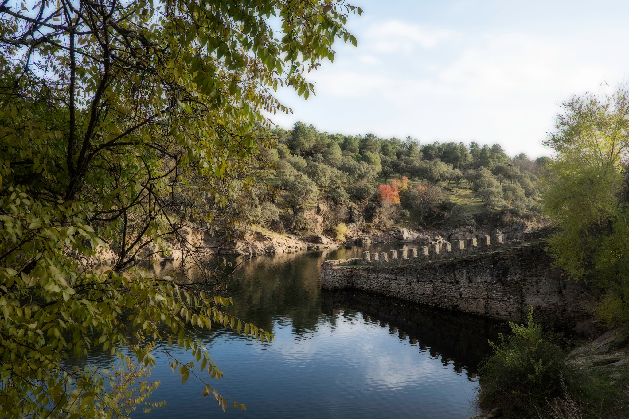 Fujifilm X-T10 + Fujifilm XF 18mm F2 R sample photo. A sunny fall morning photography