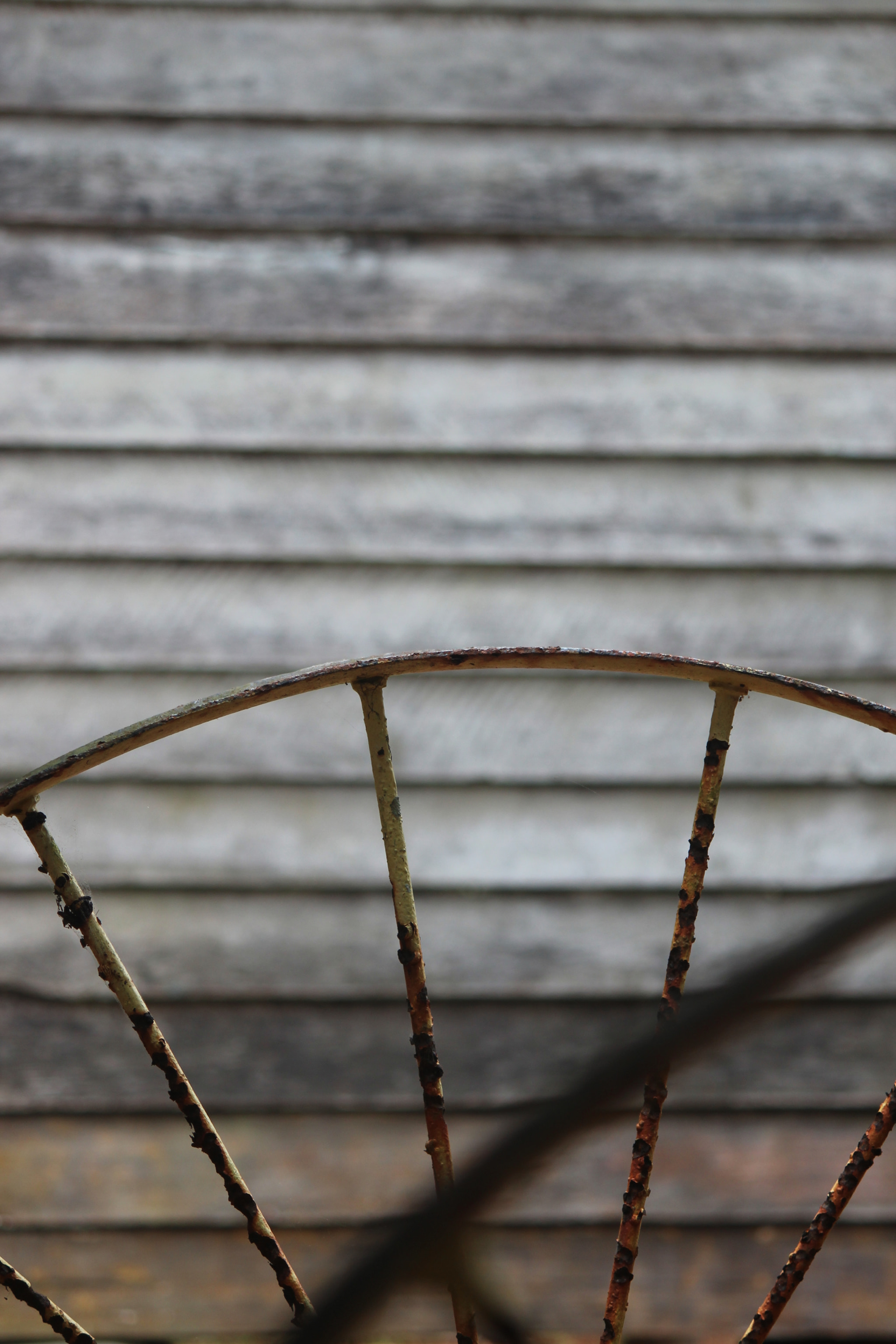 Canon EF-S 55-250mm F4-5.6 IS sample photo