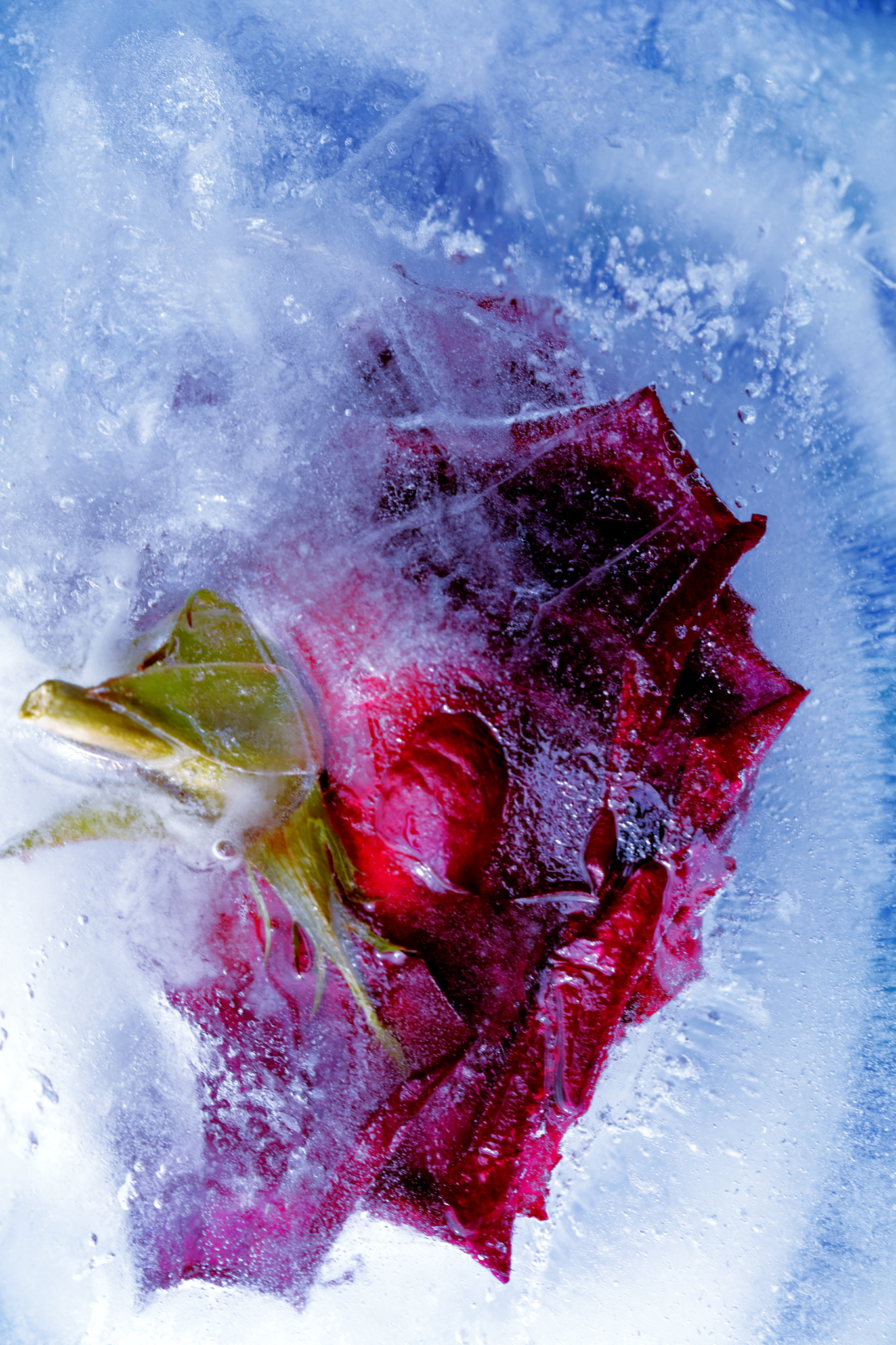 Canon EF 100mm F2.8L Macro IS USM sample photo. I stop 8, my feelings drown me. photography