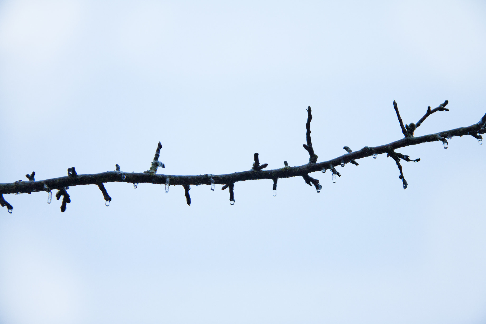 Canon EF-S 18-200mm F3.5-5.6 IS sample photo. Crazy feelings photography