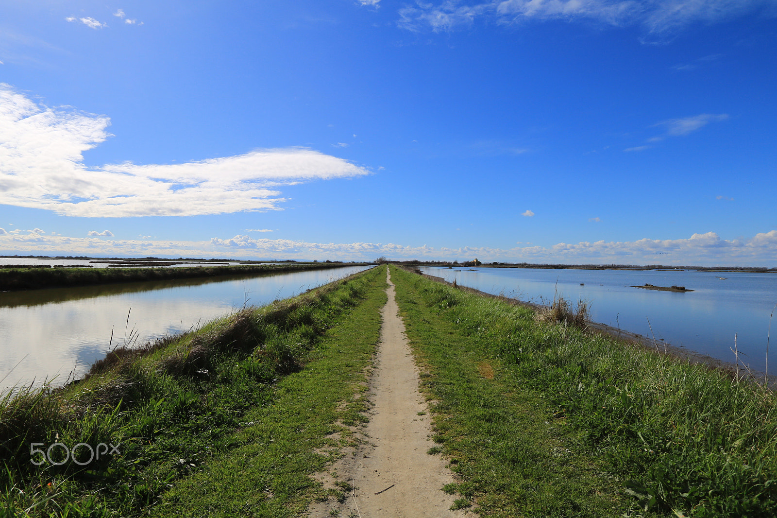 Canon EOS 760D (EOS Rebel T6s / EOS 8000D) sample photo. Valli di comacchio photography