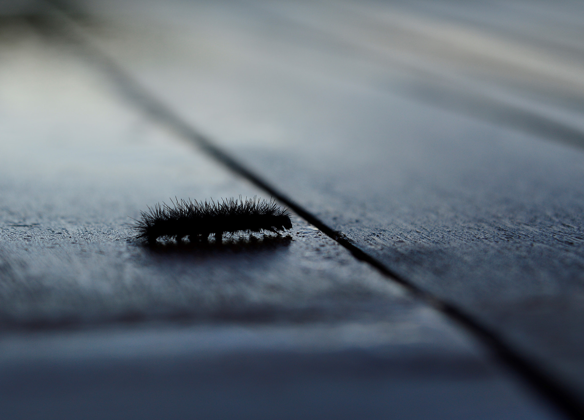 Sigma 24-70mm F2.8 EX DG HSM sample photo. () photography