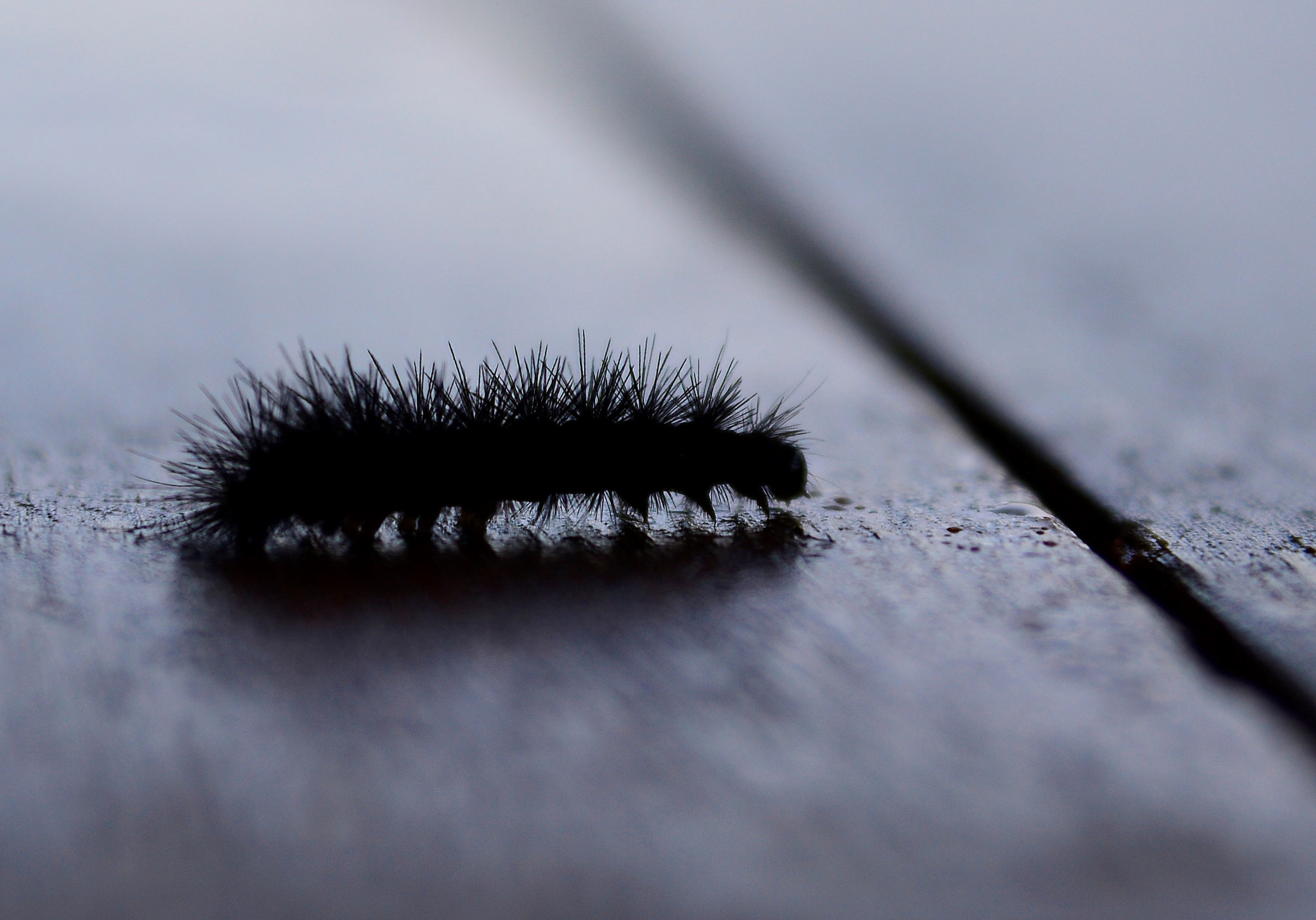 Sigma 24-70mm F2.8 EX DG HSM sample photo. () photography
