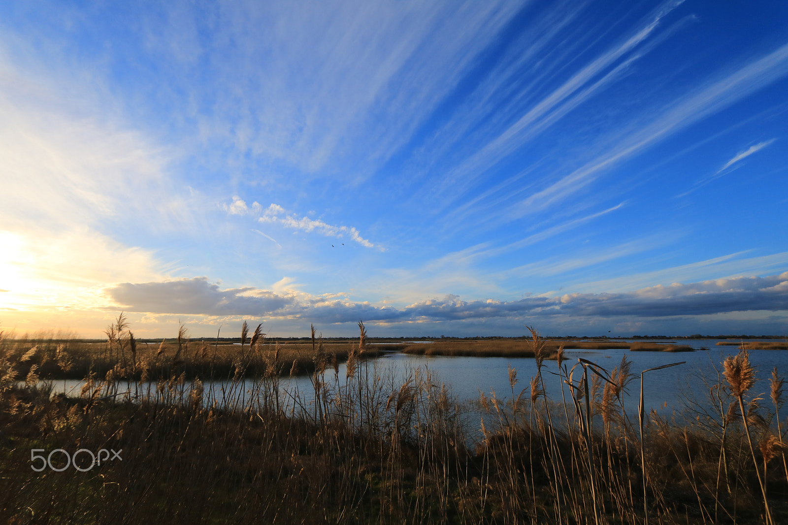 Canon EOS 760D (EOS Rebel T6s / EOS 8000D) sample photo. Tramonto elle saline di comacchio photography