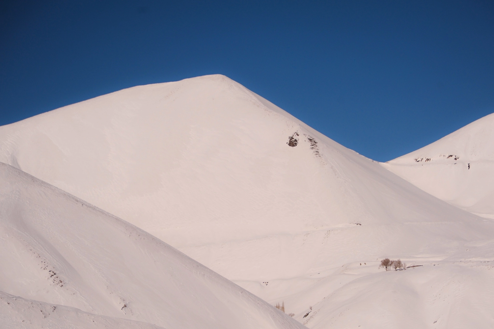 Nikon D700 sample photo. Cold winter photography